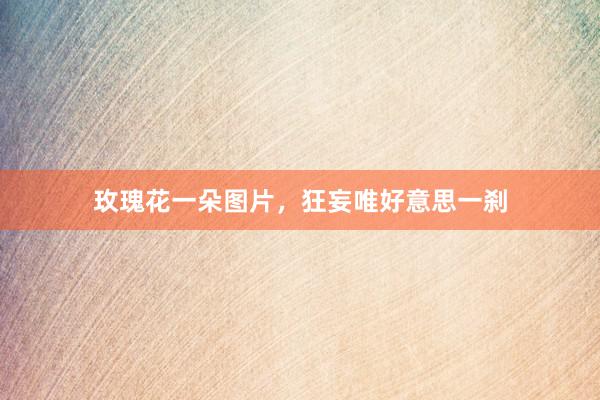 玫瑰花一朵图片，狂妄唯好意思一刹