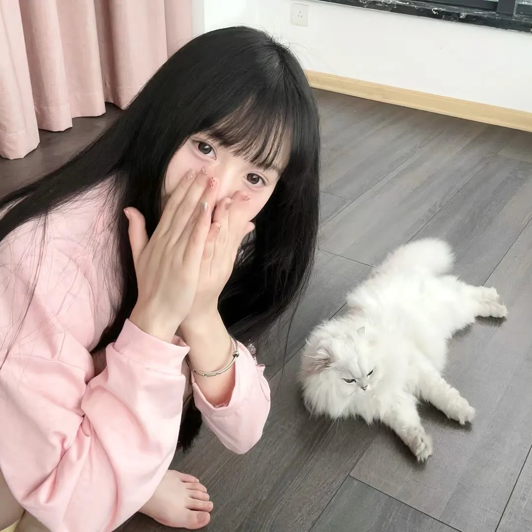 艾迪（电影）